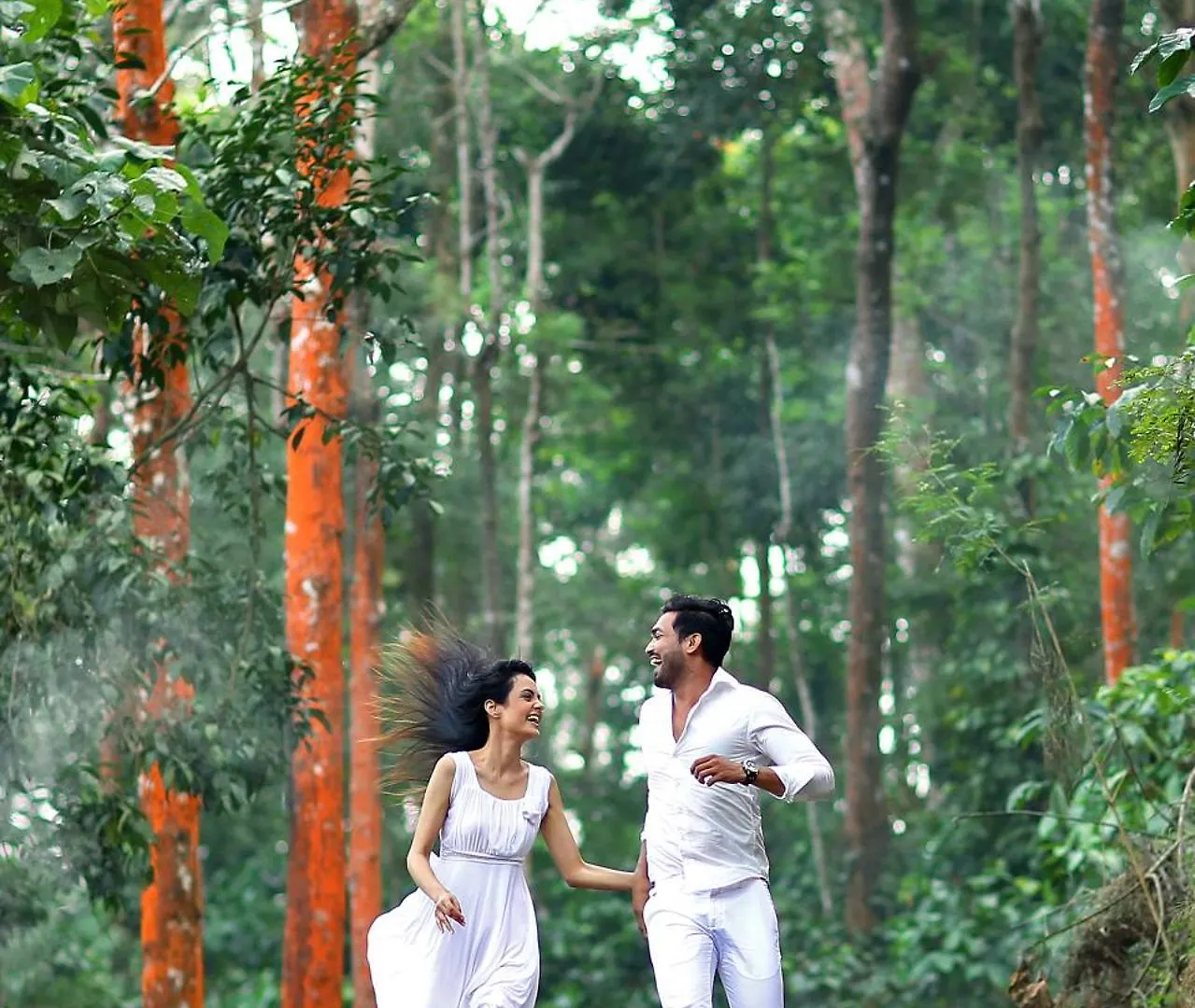 Peters Coffee Creek Resort Vajanad